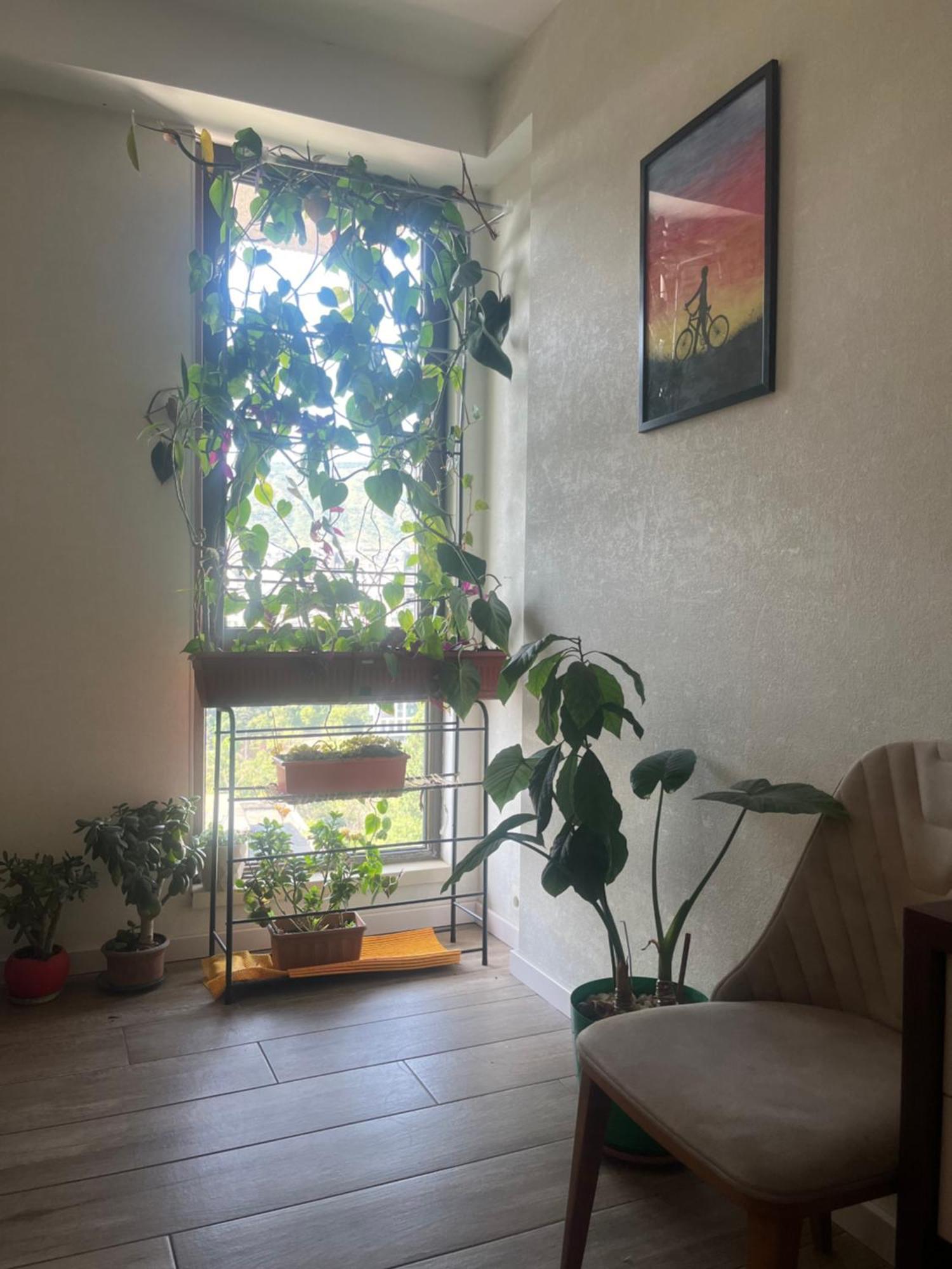 Panorama Khiliani Appartement Tbilisi Buitenkant foto